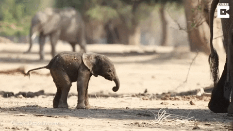 insight_yj giphygifmaker GIF