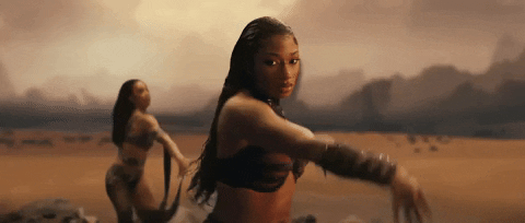 Cobra GIF by Megan Thee Stallion