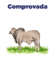 homeo-vita homeopatia equinos bovinos homeopatia animal Sticker