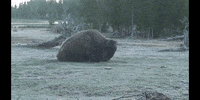 Tired Good Morning GIF by DIIMSA Stock