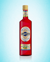 GIF by Martini