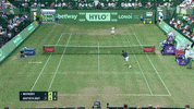 GIF by Tennis Channel