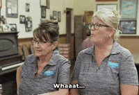 Fernies What GIF by Gangway Advertising