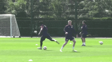 man city GIF by Manchester City