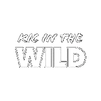Kicrealestate Sticker by KIC Realty