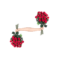 dillonfrancis love cute lol flowers Sticker
