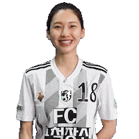 Football Sport Sticker