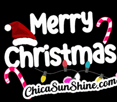 Merry Christmas GIF by ChicaSunshineShop