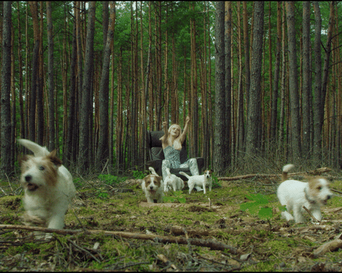 Dogs Margaret GIF by Gaja Hornby