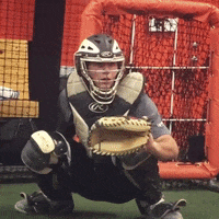 rawlingstigers baseball mlb catch catcher GIF
