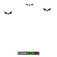 France Party Sticker by PLANETCOM.FR