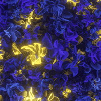 Loop Glow GIF by xponentialdesign