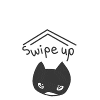 vivdarlin cat swipe up swipe up Sticker