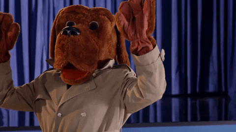 GIF by Sony Pictures Television