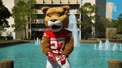houstoncougars houston sasha gocoogs shasta GIF