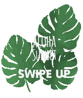 Monstera Swipe Up Sticker by Aloha Sunset