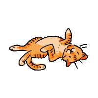 Cat Kat Sticker by Bonte Raaf