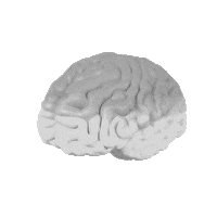 Elsevier nurse back to school nursing elsevier Sticker