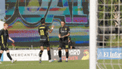 Goal Celebration Chs GIF by Charleston Battery