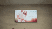 cleverman GIF by SundanceTV
