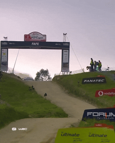 All In Portugal GIF by FIA World Rally Championship