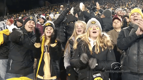 football GIF by University of Iowa Hawkeyes Athletics