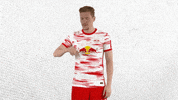 Football No GIF by RB Leipzig
