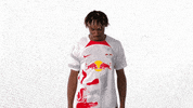 Not Me No GIF by RB Leipzig