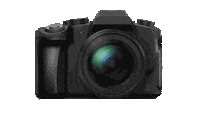 Video Recording Sticker by Maalia Agentur
