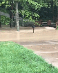 Heavy Rains Cause Flash Flooding in Parts of Kentucky