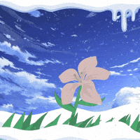 Bianco White Flower GIF