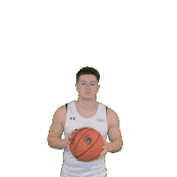 Mens Basketball Sticker by Clarke University