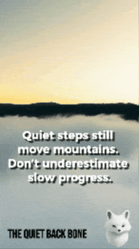 TheQuietBackBone fox motivation inspiration calm GIF