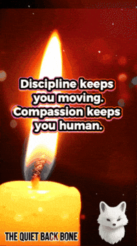 TheQuietBackBone fox light motivation calm GIF