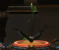 Wormcurse GIF