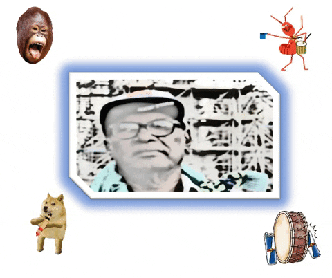 lionthewader giphygifmaker giphyattribution GIF
