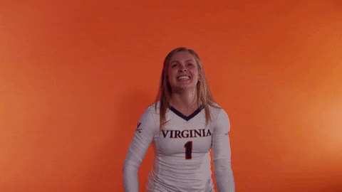 VirginiaAthletics giphyupload uva virginiasports uvavolleyball GIF