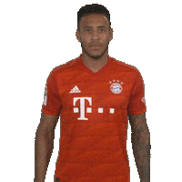 Champions League Football Sticker by FC Bayern Munich