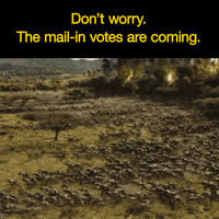 Vote Them Out War GIF by Creative Courage