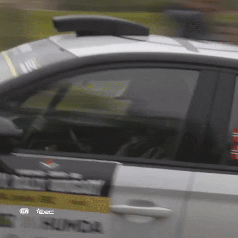 Close Call Oops GIF by FIA European Rally Championship
