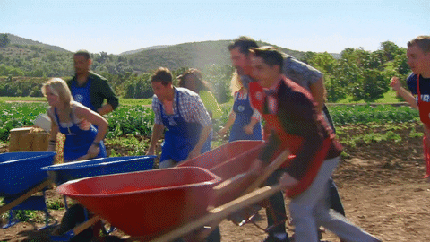 gordon ramsay GIF by Masterchef