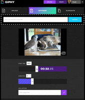 GIF by How To Giphy