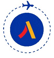 Travel Spinning Sticker by Fly Arna