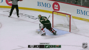 Minnesota Wild Win GIF by NHL