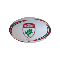 Sticker by Rugby Colorno