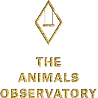 tao theanimalsobservatory Sticker