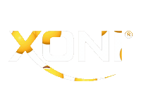 Inthexoni Sticker by Xoni Clothing
