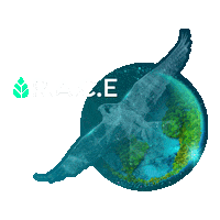 Race Sticker by Abu Dhabi Global Market