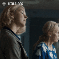 dog hello GIF by CBC