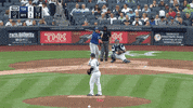 Jomboy  GIF
